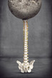 Spine under heavy Pressure