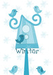 Bird feeder and sparrows - winter time.