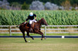 joueur de polo à cheval