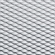 scales snake skin texture