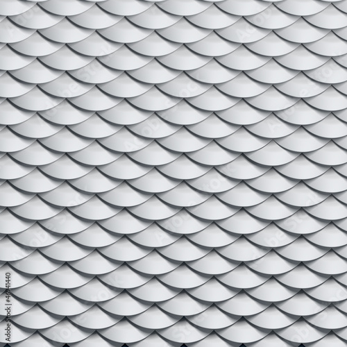 Illustration: scales snake skin texture scales snake skin texture