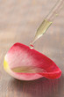 Parfum de rose