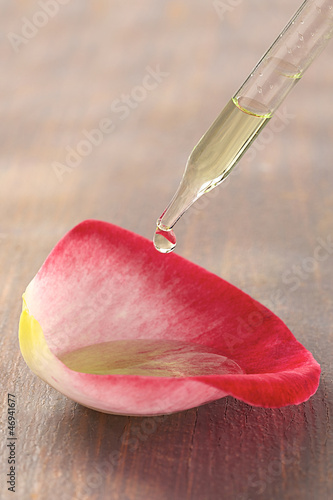 Photo: Parfum de rose Parfum de rose