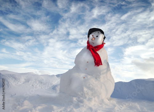 Photo: Snowman Snowman
