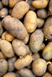 potatoes