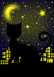 Katze bei Nacht