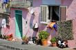 Italy - Procida, beautiful island in the mediterranean sea, napl