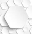 Paper hexagon banner with drop shadows