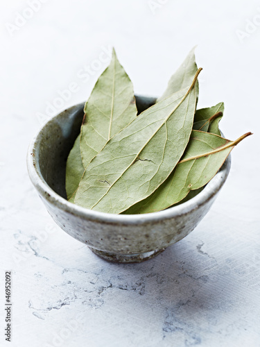 Photo: Bay Leaves Bay Leaves
