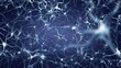 Neuron network activity