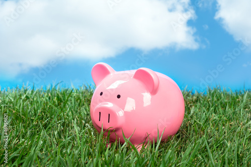 Photo: Piggybank in field Piggybank in field