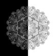 Vector round ornament.