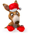 Fun kangaroo