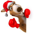 Fun kangaroo