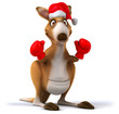 Fun kangaroo