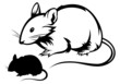 mouse silhouette and outline