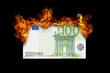 Burning money