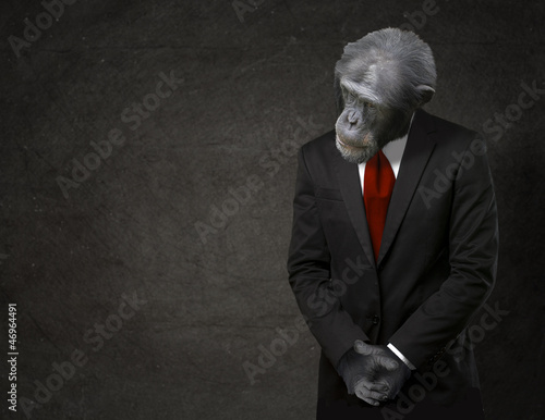 Photo: Business Monkey In Formal Attire Business Monkey In Formal Attire