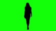 Catwalk Model Silhouette