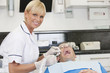 Photo: A female dentist treating her male patient A female dentist treating her male patient
