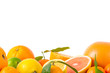 Fruits citrus