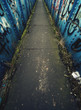 dirty path