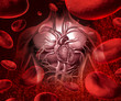 Blood System And Circulation