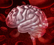 Brain Blood