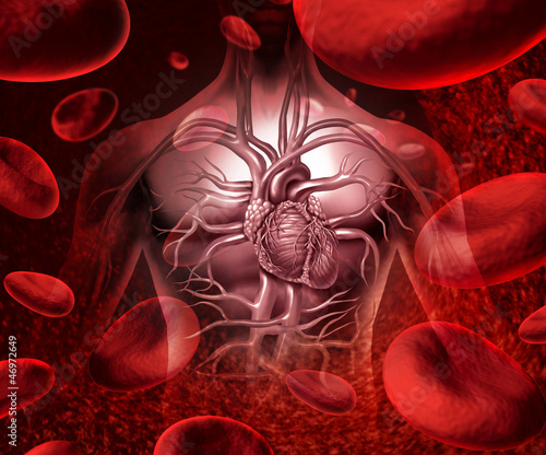 Illustration: Blood System And Circulation Blood System And Circulation