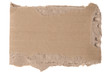 Ripped piece of cardboard on white