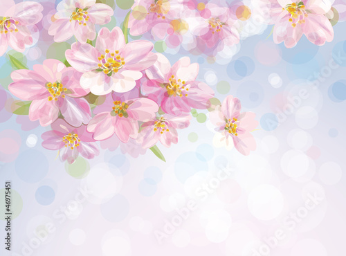 Vector: Vector of sping blossoming tree with sky background Vector of sping blossoming tree with sky background