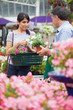 Woman with basket buying plants