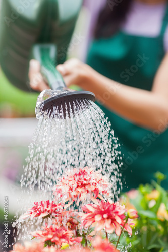 Photo: Woman watering flowers Woman watering flowers