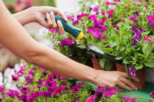 Photo: Woman spading flowers Woman spading flowers