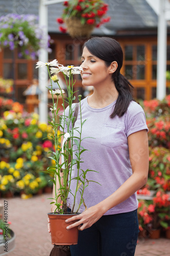 Photo: Woman smelling a daisy plant Woman smelling a daisy plant