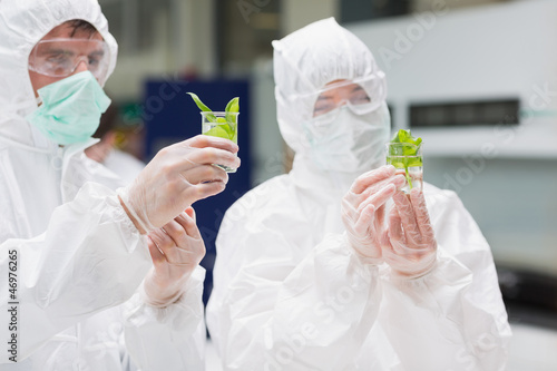 Photo: Students in protective suits looking at plants in beakers Students in protective suits looking at plants in beakers