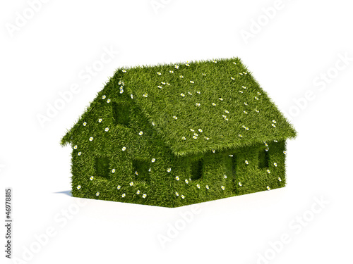 Illustration: Haus 3D Gras Haus 3D Gras