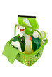 Green Cleaning Supplies Shot at Angle