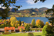 Indian Summer, Tegernsee, Seeblick, Bäume, Baum