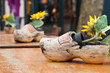 Traditional wooden shoes