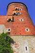Burgturm
