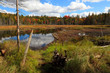 Algonquin Provincial Park