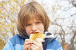 child eating sandwich