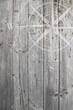 Windrose auf Holz
