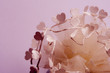 sweet heart lace