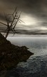 paysage lugubre