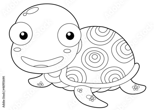 "illustration of Cartoon turtle outline" Stock image and royalty-free