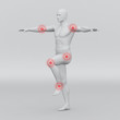 Mann Anatomie Gelenk Muskeln Bewegung
