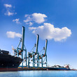 Cargo sea port. Sea cargo cranes.