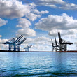 Cargo sea port. Sea cargo cranes.